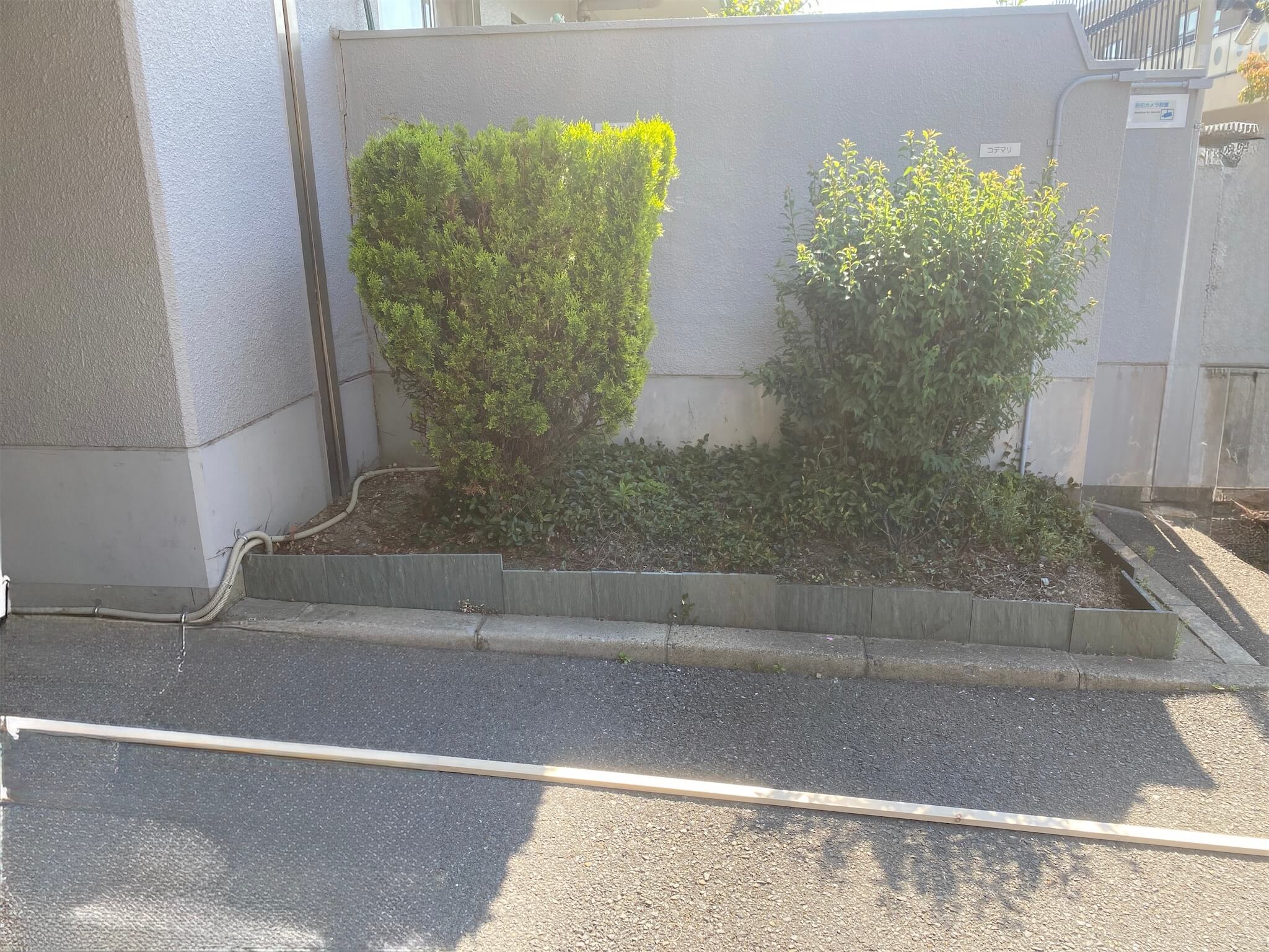 花壇見切りやり替え・客土入替 施工前