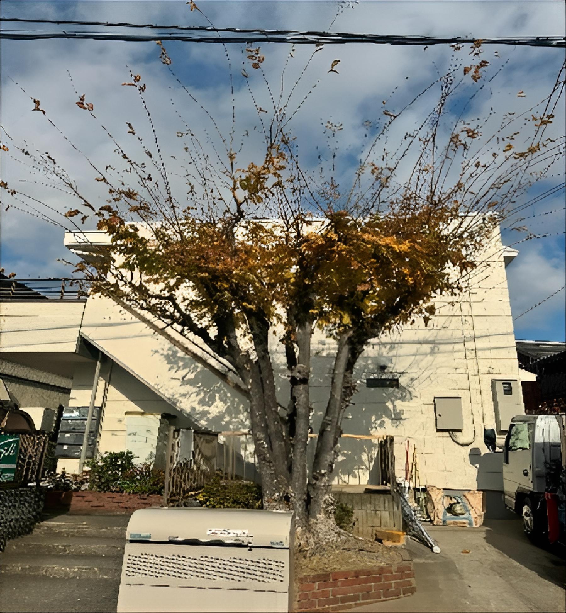 剪定前の写真