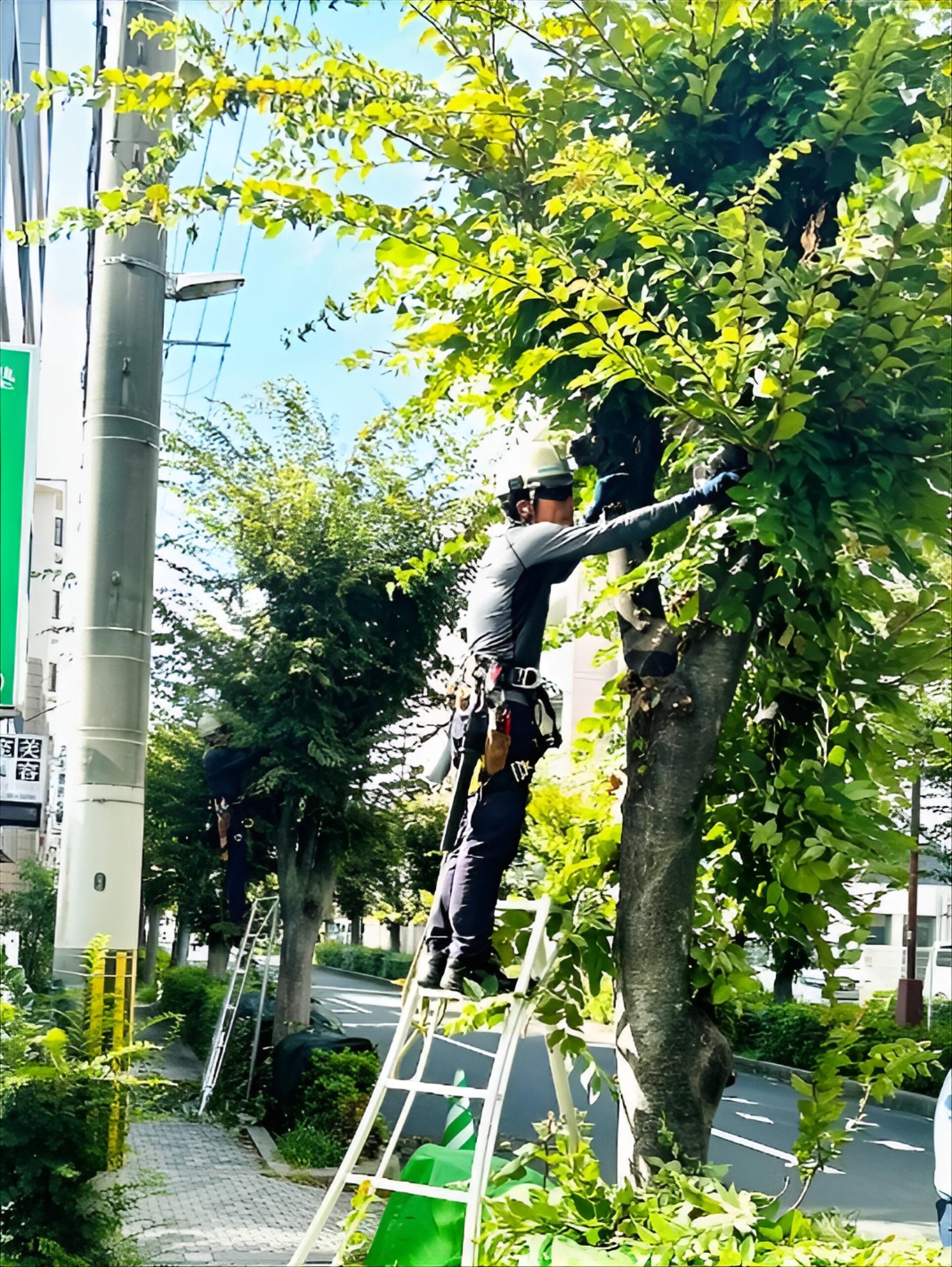 外構植栽と景石の据付